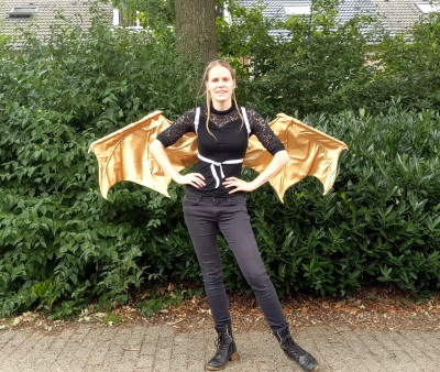 Wyvern wings small