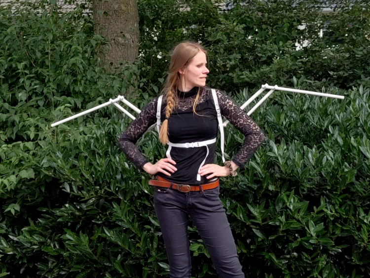 Mechanical Wings Frame - 'Small Sideways' - Assembled