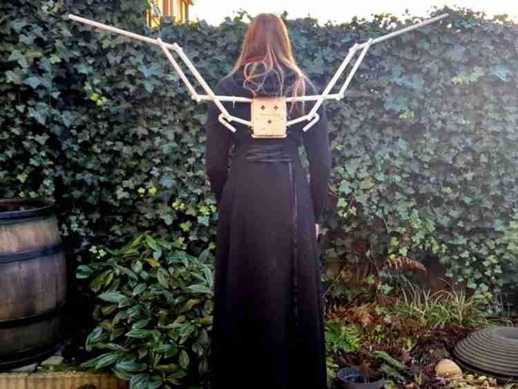 Mechanical Wings Frame - 'Small Upward' - Assembled