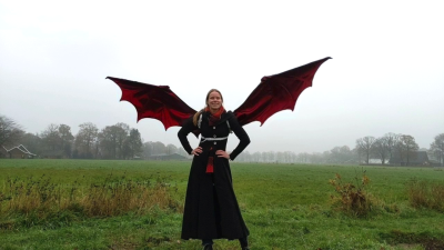 Fury sewing pattern, dragon wings DIY instructions for cosplay wings.