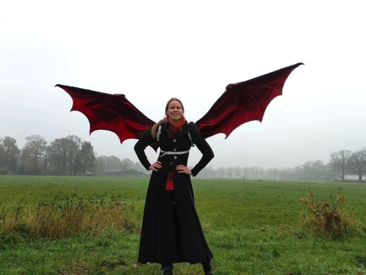 Fury sewing pattern, dragon wings DIY instructions for cosplay wings.